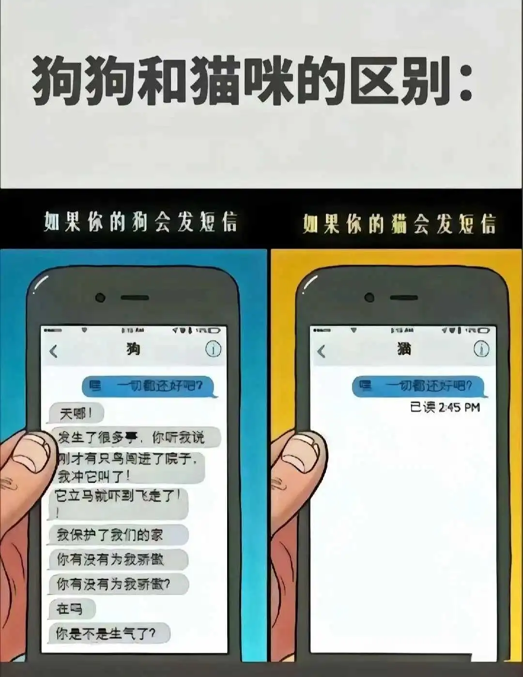 西檬之家-DT是什么？Consenting情趣语言指南