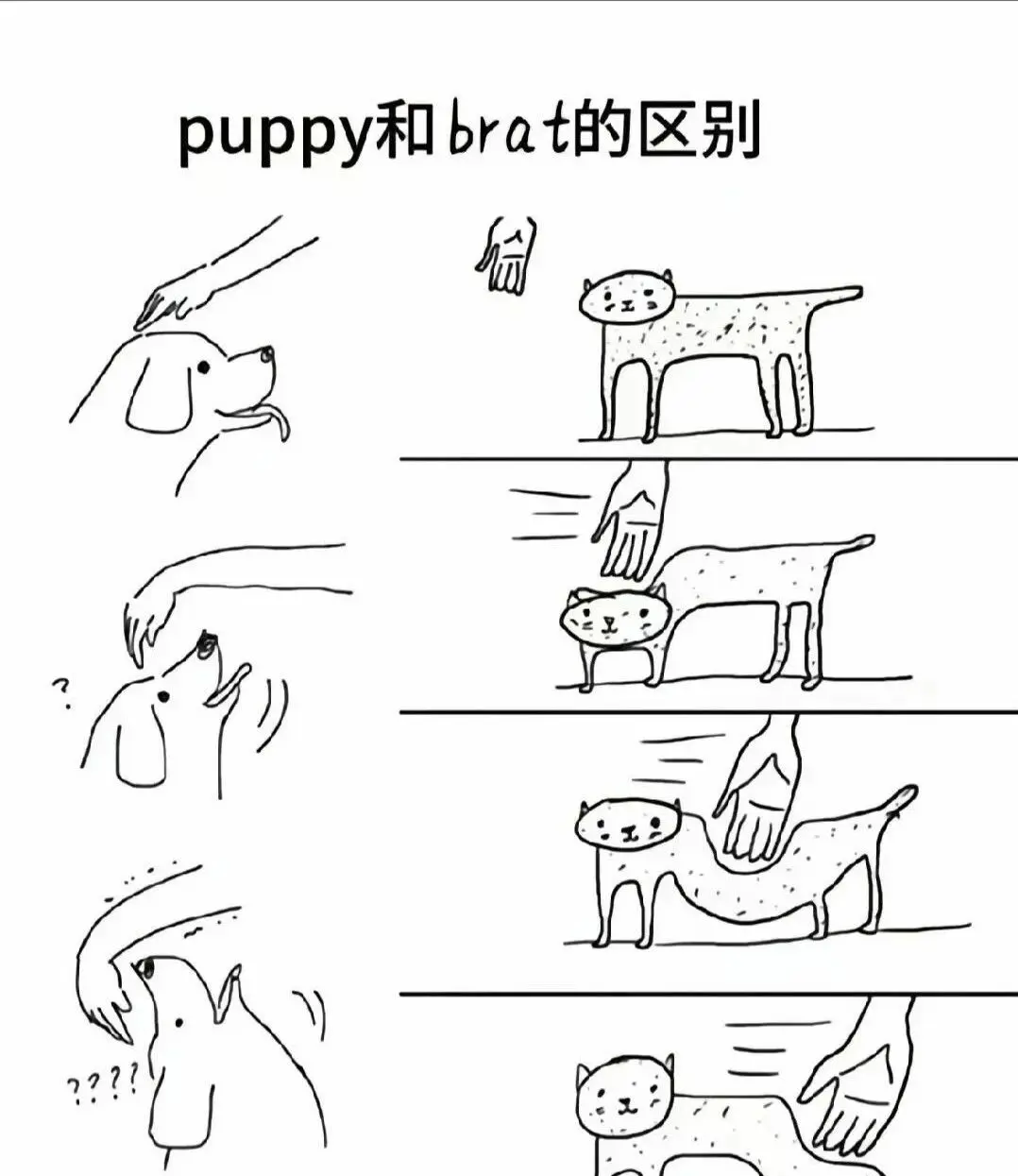 西檬之家-大圈是什么意思？字母圈新人权威入圈指南