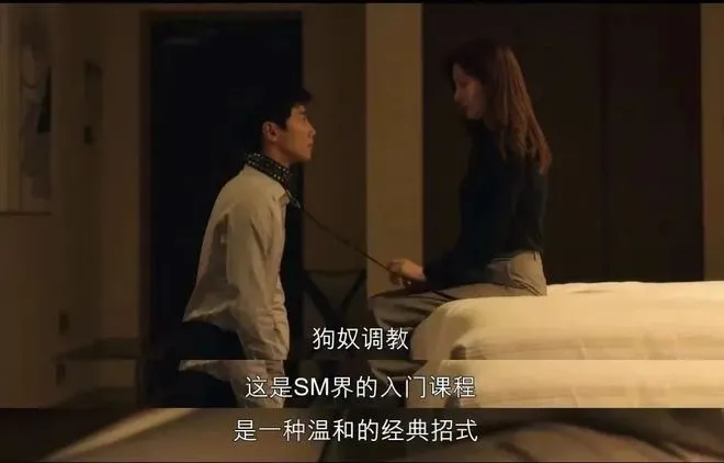 西檬之家-字母圈DOM是什么意思？| BDSM支配者角色指南