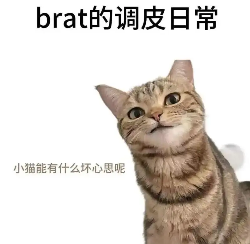 西檬之家-字母圈新人入圈指南：从BDSM术语到关系实践