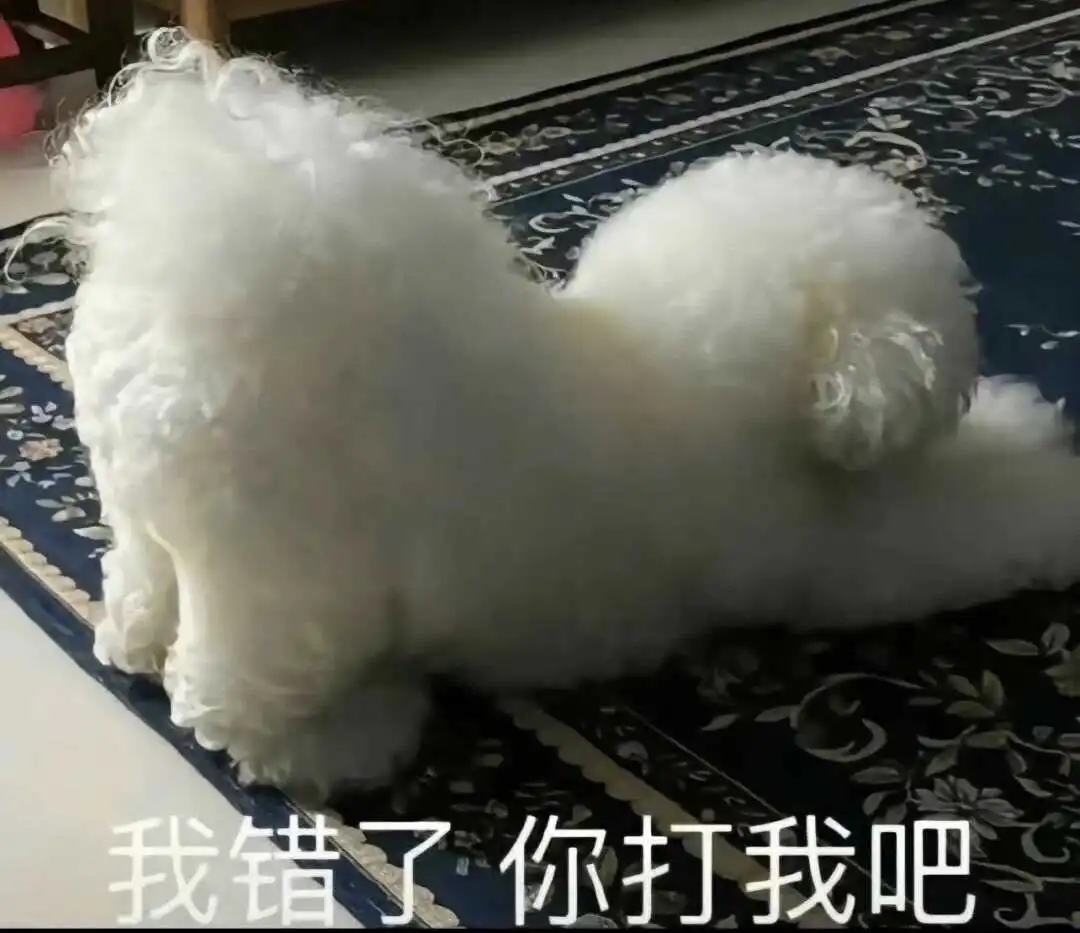 西檬之家-【s属性是什么？新人快速认知字母圈的S类型特征】