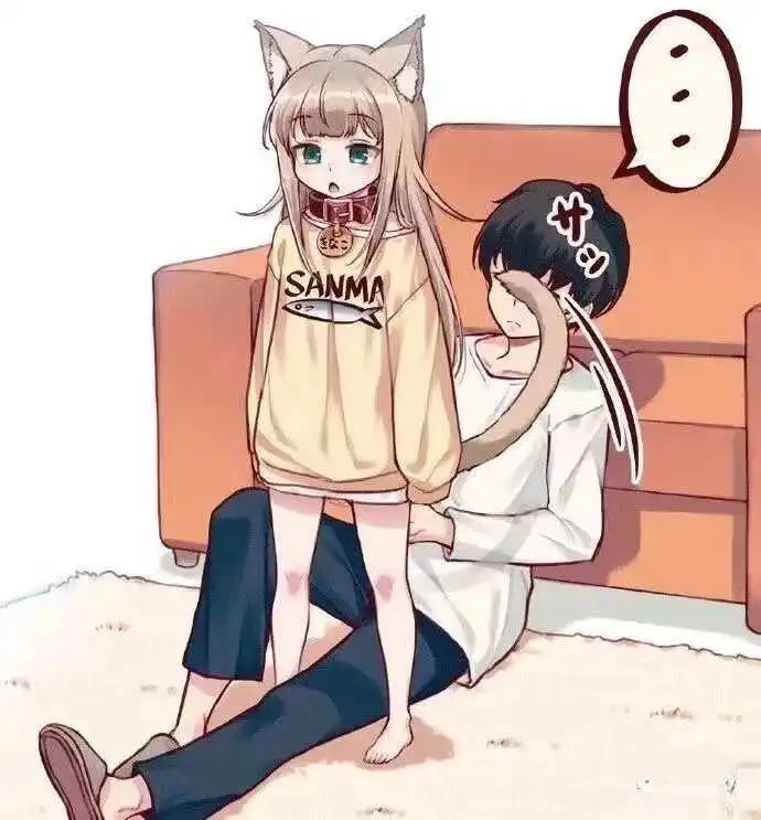 s属性：实用指南