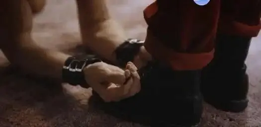 西檬之家-字母圈新人入门指南：从BDSM基础术语到SSC安全原则