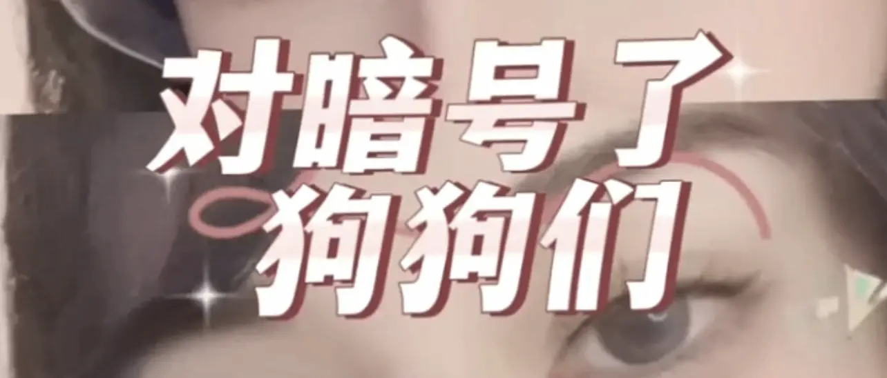 西檬之家-PE是什么意思？字母圈权力交换深度解析