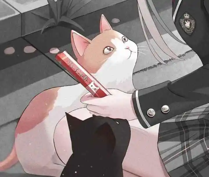 S：实用指南